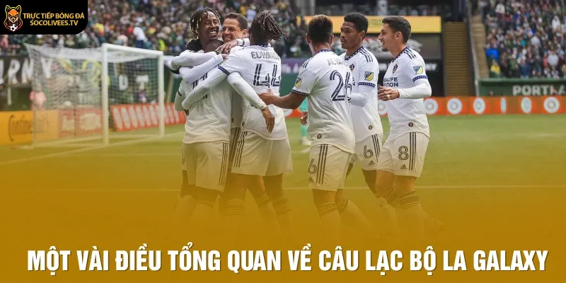 Một vài điều tổng quan về Câu lạc bộ LA Galaxy