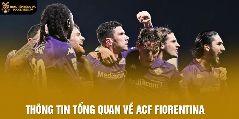 Thông tin tổng quan về ACF Fiorentina